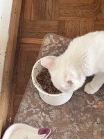 IMG_7162.jpeg