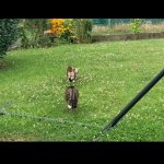 IMG_3377.jpeg