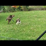 IMG_3379.jpeg