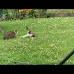 IMG_3380.jpeg