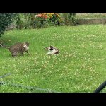 IMG_3381.jpeg