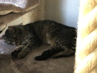 IMG_9935.jpeg
