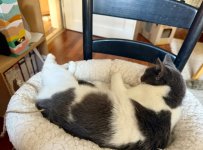IMG_1884.jpeg