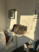 IMG_0940.jpeg