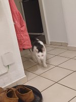 20250717_214122.jpg