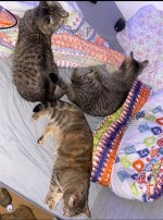 IMG_7146.jpeg