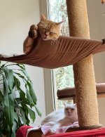 IMG_2081.jpeg