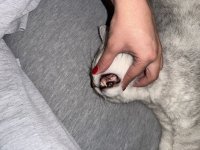 IMG_0919.jpeg