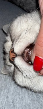 IMG_0915.jpeg