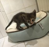 IMG_2622.jpeg