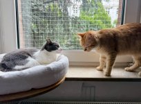 IMG_2161.jpeg