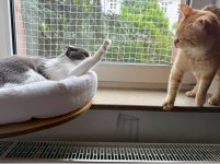 IMG_2162.jpeg