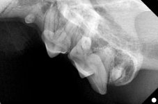 00322999_00340026_DICOM_IO_2025_07_30_0000053899.jpg