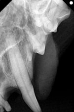 00322999_00340026_DICOM_IO_2025_07_30_0000053900 (1).jpg