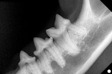 00322999_00340026_DICOM_IO_2025_07_30_0000053901.jpg