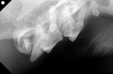 00322999_00340026_DICOM_IO_2025_07_30_0000053897.jpg