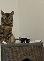 IMG_1412.jpeg