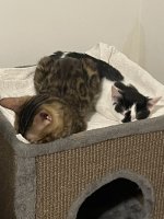 IMG_1415.jpeg
