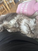 IMG_7819.jpeg