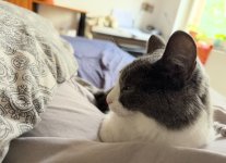 IMG_2230.jpeg