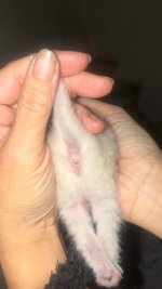 IMG_9722.jpeg