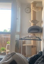 IMG_7595.jpeg