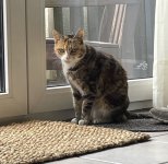 IMG_4375.jpeg