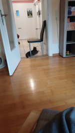 IMG-20250803-WA0011.jpeg
