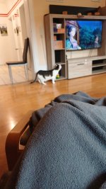 IMG-20250803-WA0009.jpeg