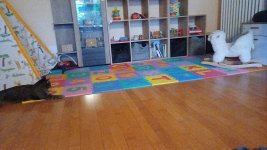 IMG-20250803-WA0015.jpeg