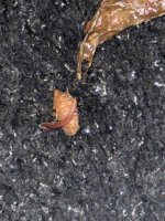IMG_8503.jpeg