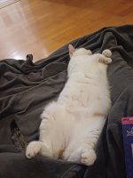 20250806_215425.jpg