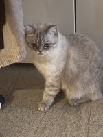 IMG_6611.jpeg