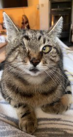 IMG_6122.jpeg