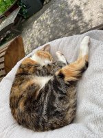 IMG_4383.jpeg