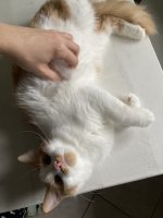 IMG_5382.jpeg