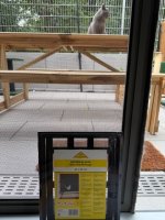IMG_0719.jpeg