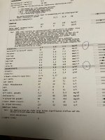 Blutergebnis2.jpg