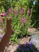 IMG_4392.jpeg