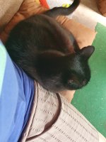 20250811_125348.jpg