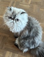 IMG_8240.jpeg