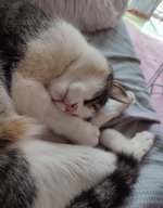 IMG_20250817_161052.jpg