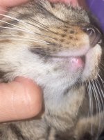 IMG_9380.jpeg
