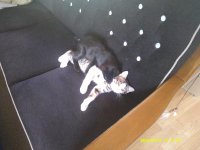 DSCF0087.JPG