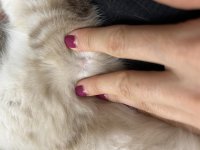 IMG_8986.jpeg