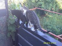DSCF0097.JPG