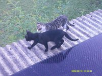 DSCF0101.JPG