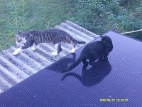 DSCF0100.JPG