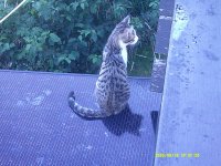 DSCF0099.JPG