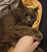 Camera_20250820_216789.jpg